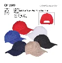CP 3989-01.webp