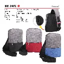 BB 2403-01.webp