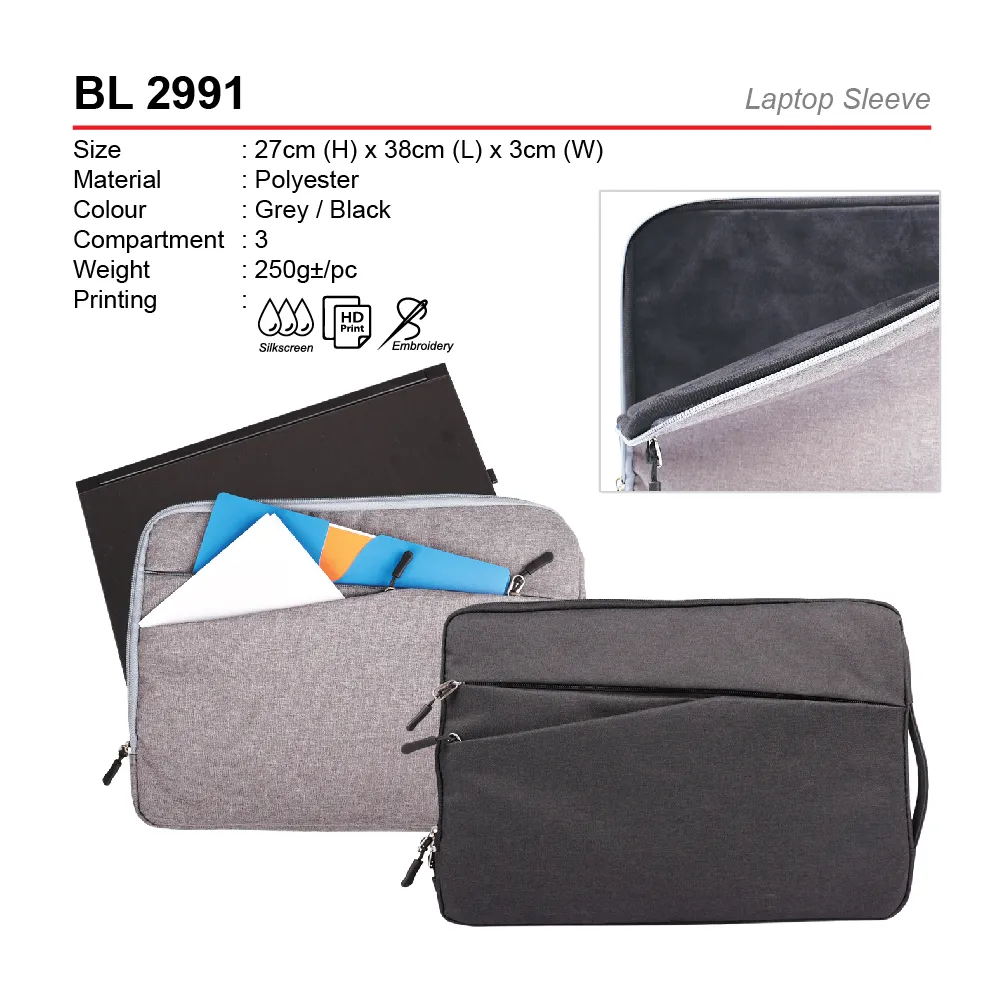 BL 2991-01.webp