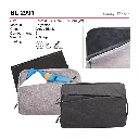 BL 2991-01.webp