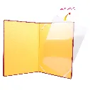 CF 618 _4.webp