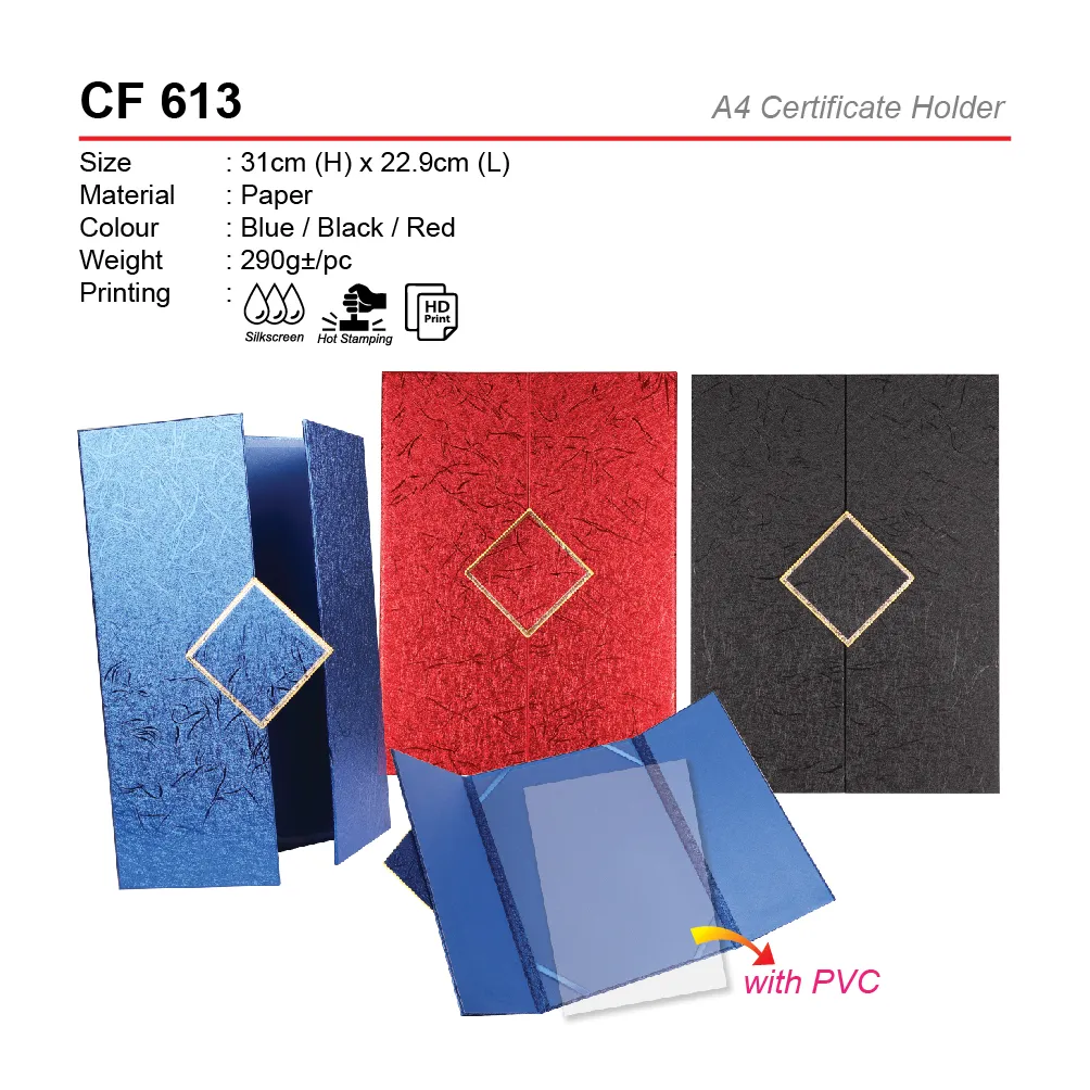 CF 613-01.webp