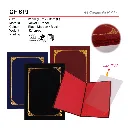 CF 619-01.webp