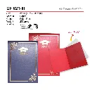 CF 621-III-01.webp