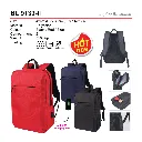 BL 9133-II-01.webp