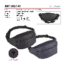 BW 3027-III-01.webp