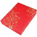 WP 191 _6.webp
