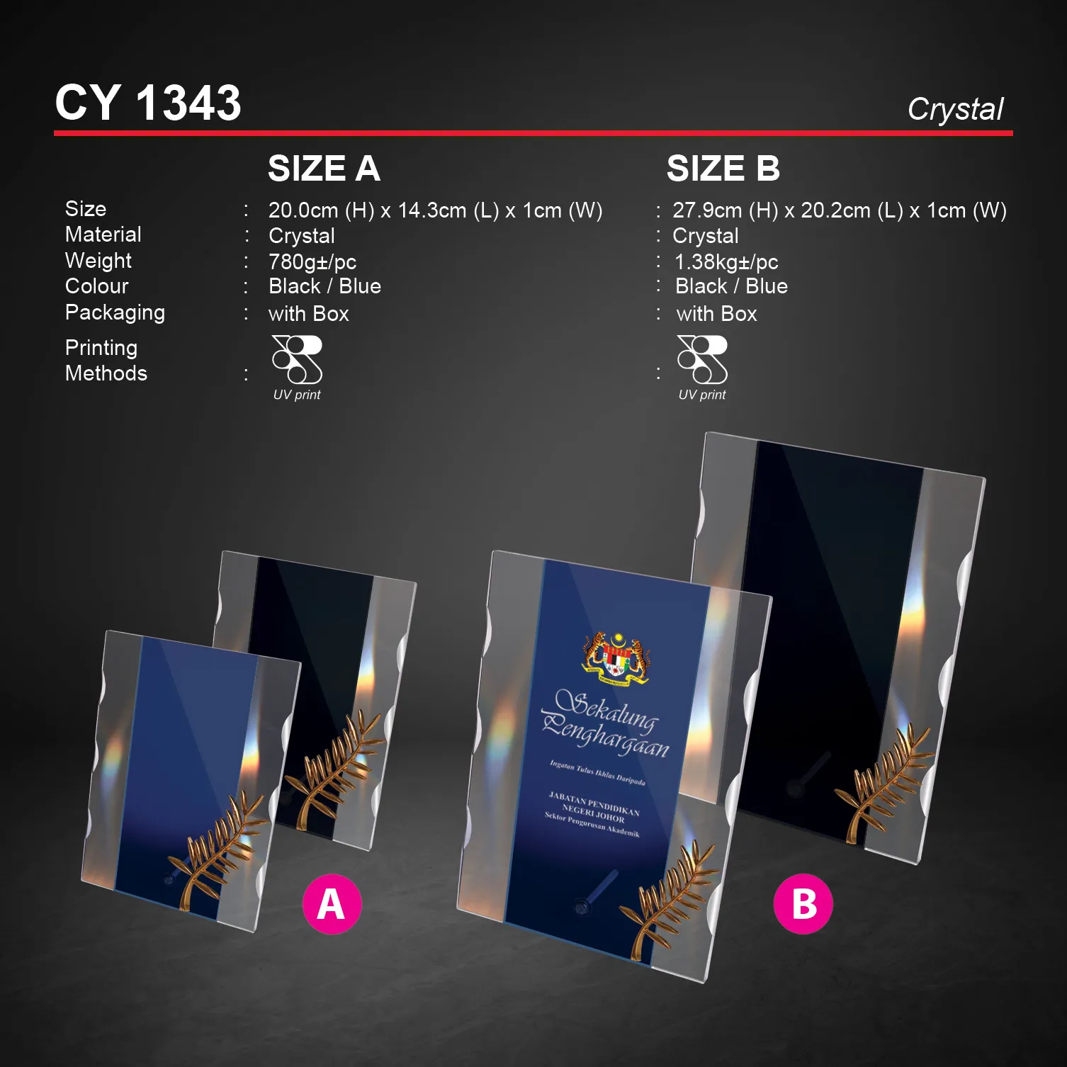 CY 1343.webp