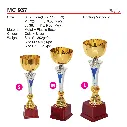 MC 937.webp