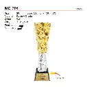 MC 701.webp