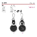 C 251.webp