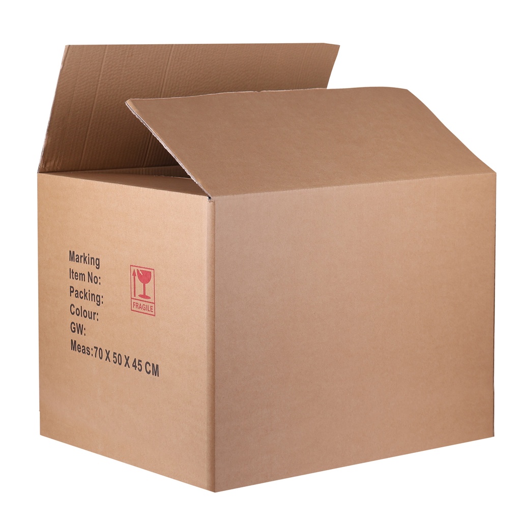 [CTB-1] PLAIN CARTON (70cm X 50 cm X 45 CM)