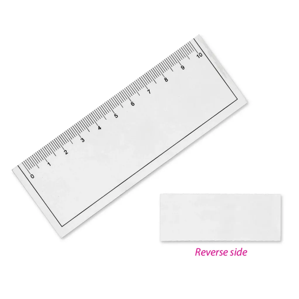 RULER(PS 2954)