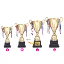 TROPHY
