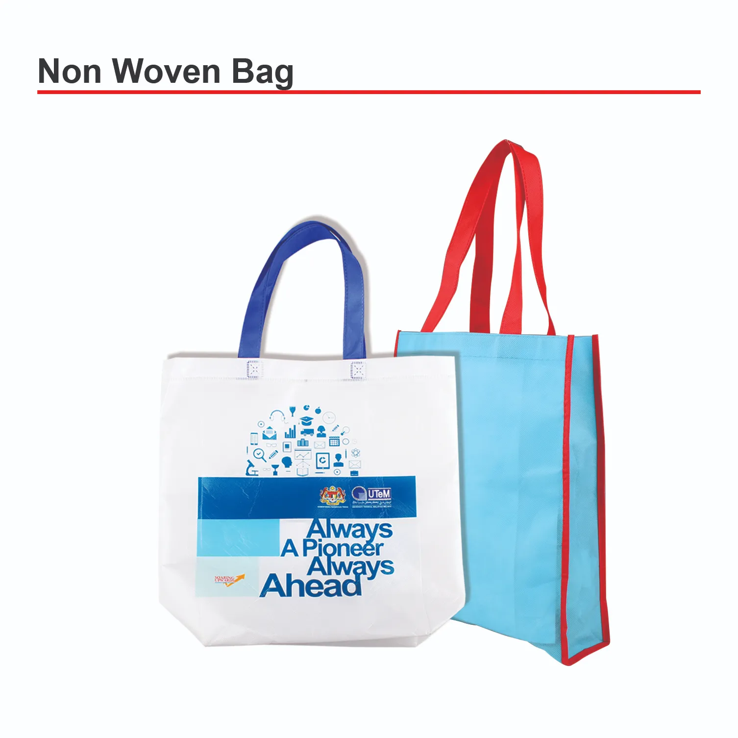 NON WOVEN BAG